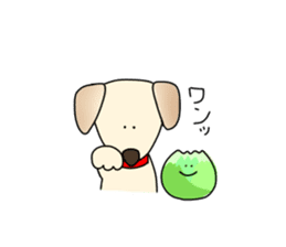 dog & cabbage sticker #13874698