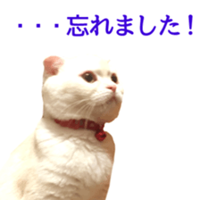 Sticker of Pathetic face Scottish Fold 2 sticker #13874835