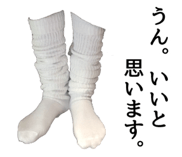 Loose sox sticker #13876157