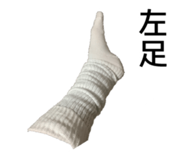 Loose sox sticker #13876159