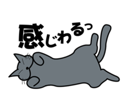 The cat which answers properly sticker #13876191