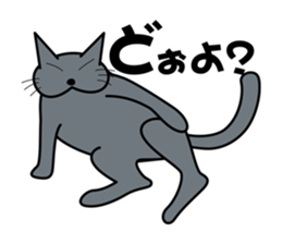 The cat which answers properly sticker #13876192