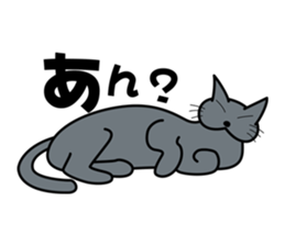 The cat which answers properly sticker #13876194