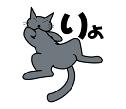 The cat which answers properly sticker #13876197