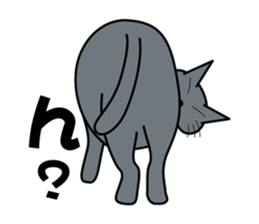 The cat which answers properly sticker #13876202