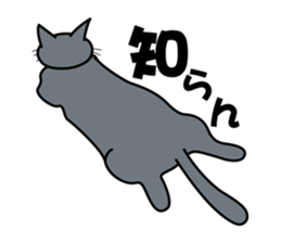 The cat which answers properly sticker #13876206