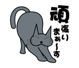 The cat which answers properly sticker #13876207
