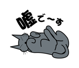 The cat which answers properly sticker #13876212