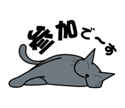 The cat which answers properly sticker #13876213