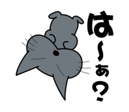 The cat which answers properly sticker #13876217