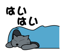 The cat which answers properly sticker #13876218