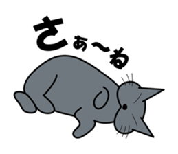 The cat which answers properly sticker #13876221