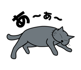 The cat which answers properly sticker #13876226
