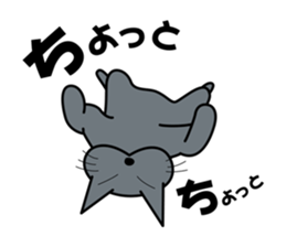 The cat which answers properly sticker #13876227