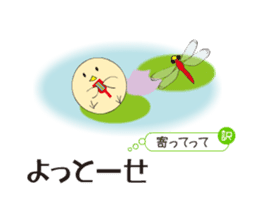 Tosa dialect rooster sticker #13876275