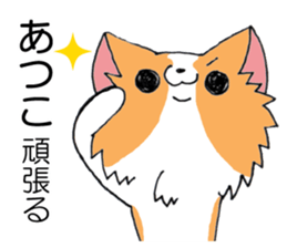 All for ATSUKO sticker #13876724