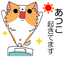 All for ATSUKO sticker #13876745