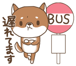 Waiting of a Shiba dog sticker #13877808