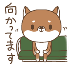Waiting of a Shiba dog sticker #13877812