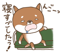 Waiting of a Shiba dog sticker #13877813