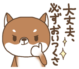 Waiting of a Shiba dog sticker #13877819