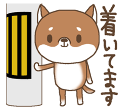 Waiting of a Shiba dog sticker #13877821