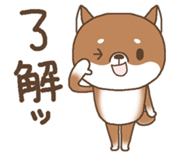 Waiting of a Shiba dog sticker #13877827