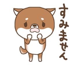 Waiting of a Shiba dog sticker #13877836