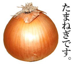 Onion. sticker #13878110