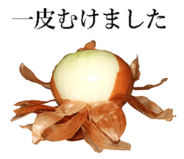 Onion. sticker #13878111