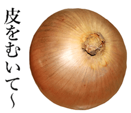 Onion. sticker #13878112
