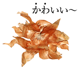 Onion. sticker #13878113