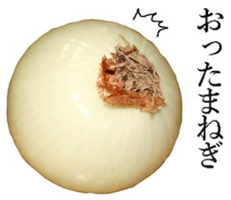 Onion. sticker #13878114