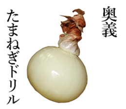 Onion. sticker #13878115