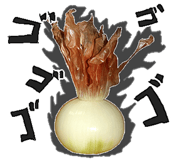 Onion. sticker #13878116