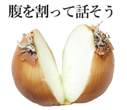 Onion. sticker #13878121