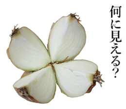 Onion. sticker #13878122