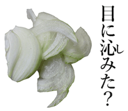 Onion. sticker #13878124