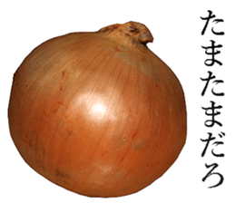 Onion. sticker #13878127