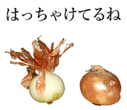 Onion. sticker #13878129