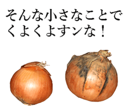 Onion. sticker #13878130