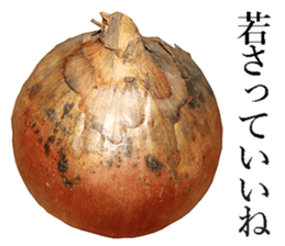 Onion. sticker #13878131