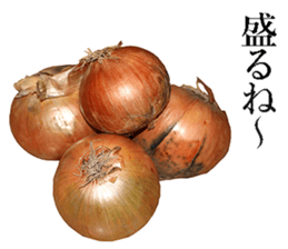 Onion. sticker #13878134