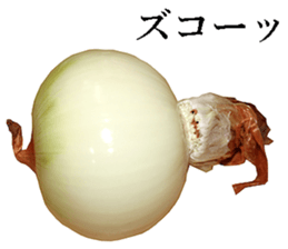 Onion. sticker #13878135