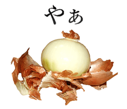 Onion. sticker #13878139