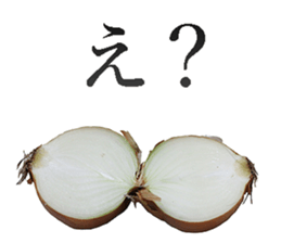 Onion. sticker #13878140