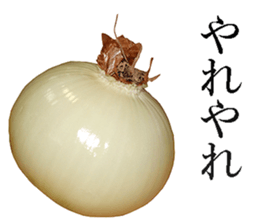 Onion. sticker #13878141