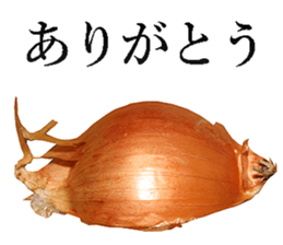 Onion. sticker #13878143