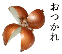 Onion. sticker #13878144