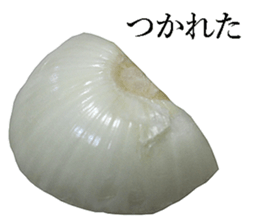 Onion. sticker #13878145